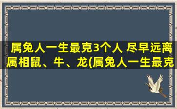 属兔人一生最克3个人 尽早远离属相鼠、牛、龙(属兔人一生最克的3个属相，尽早预防与鼠、牛、龙为中心交往！)